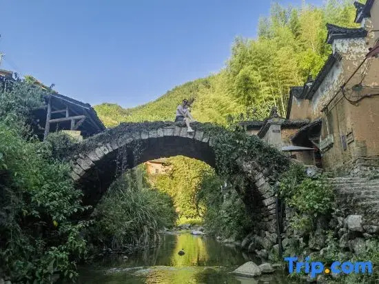 Home Inn UP Huaxuan Collection Hotel (Songyang Zhenan Tea Market)