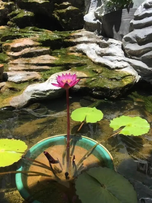 Xuan Mai Villa