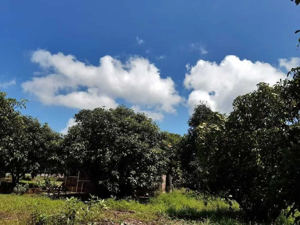 Aranya Kutir Resort