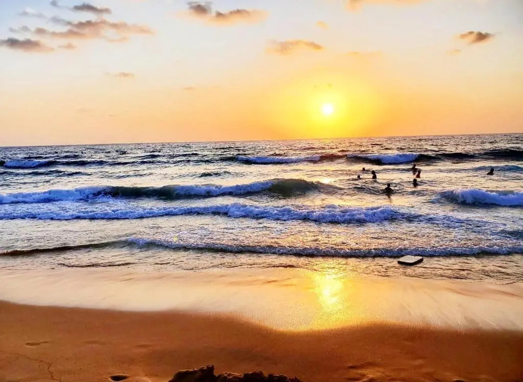 The SunSet 005