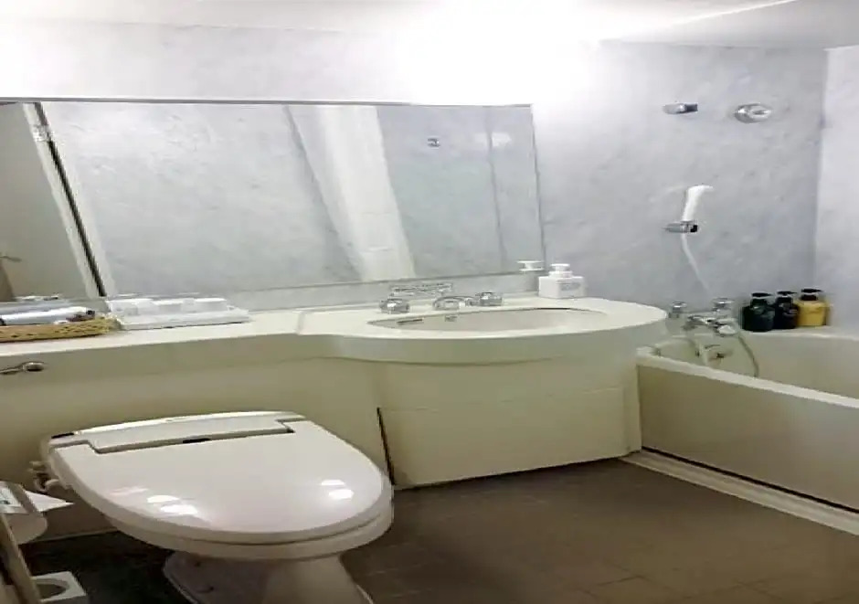Hotel Ascent Plaza Hamamatsu / Vacation STAY 64699