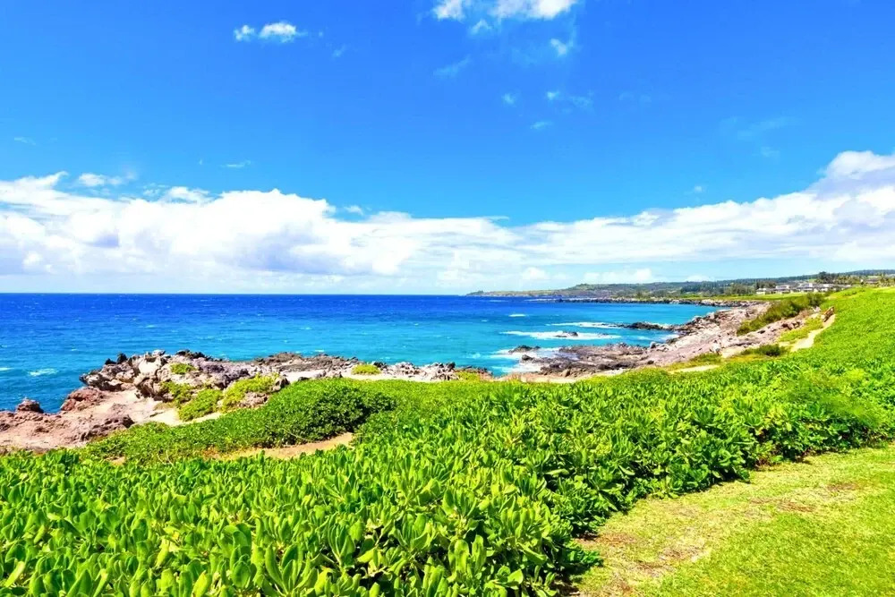 K B M Resorts- Kbv-30g2 Ocean-front 1bd, Expansive Kapalua Ocean Views From Balcony!