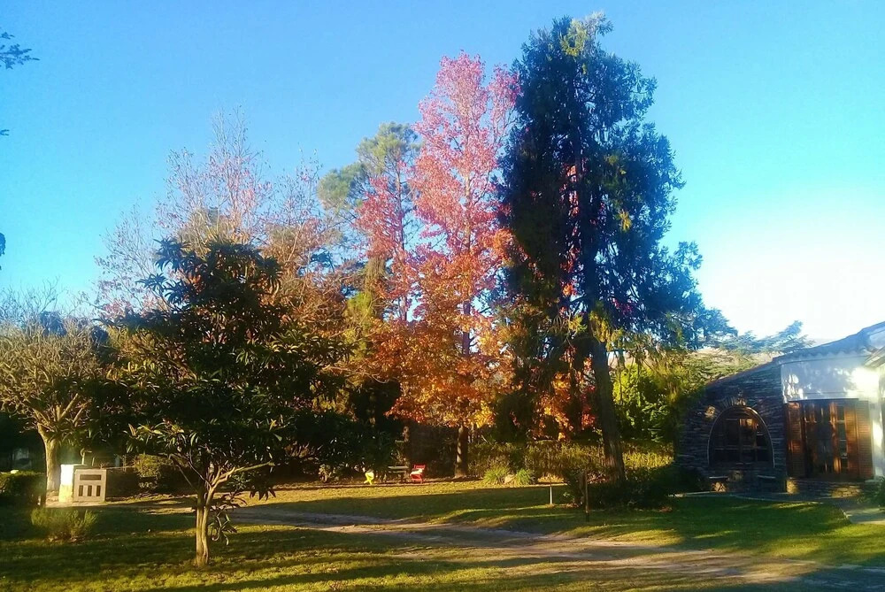 B&B Villa Giardino