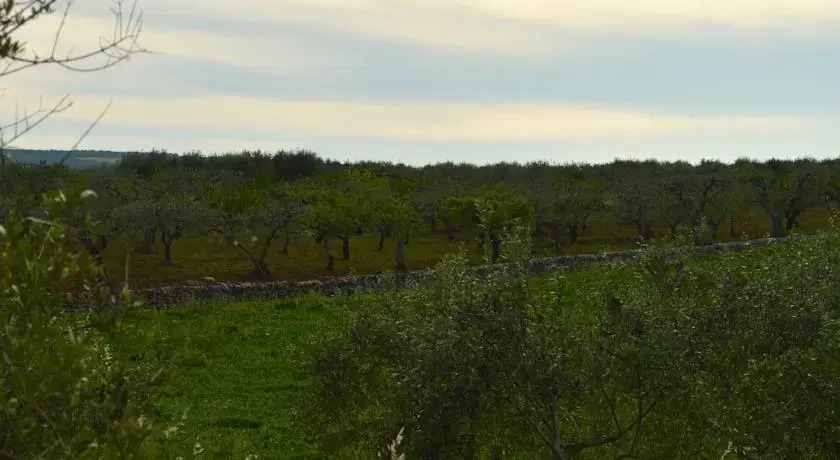 Stella Del Canale