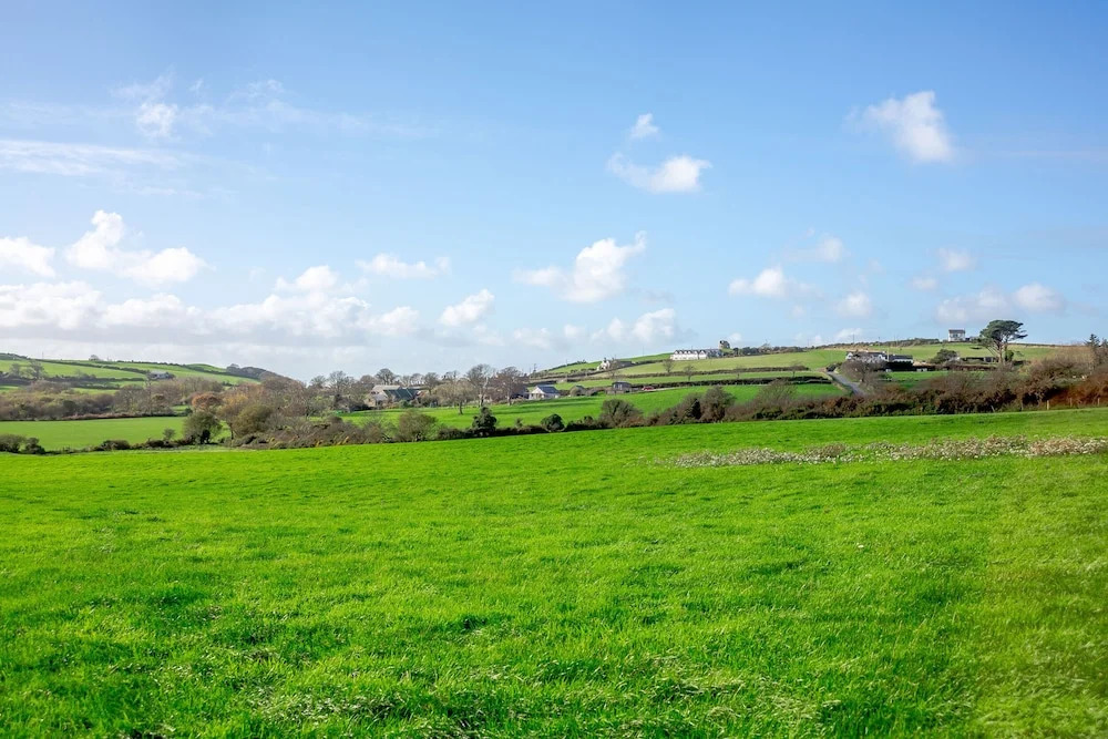 Bwythyn-y-wennol