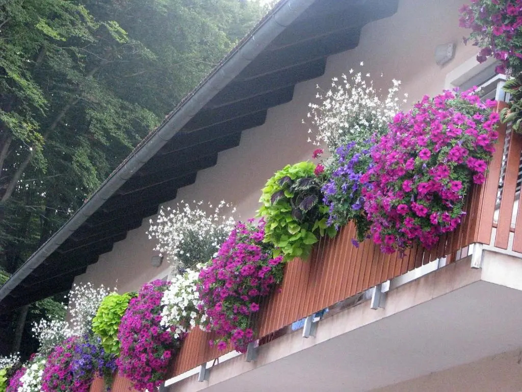 Apartment Panda