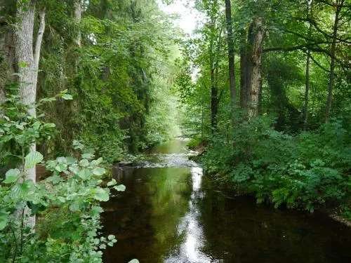 Ferienwohnung Hochfirstblick