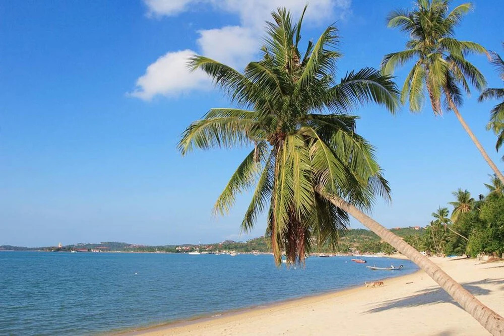 BCA Villa
