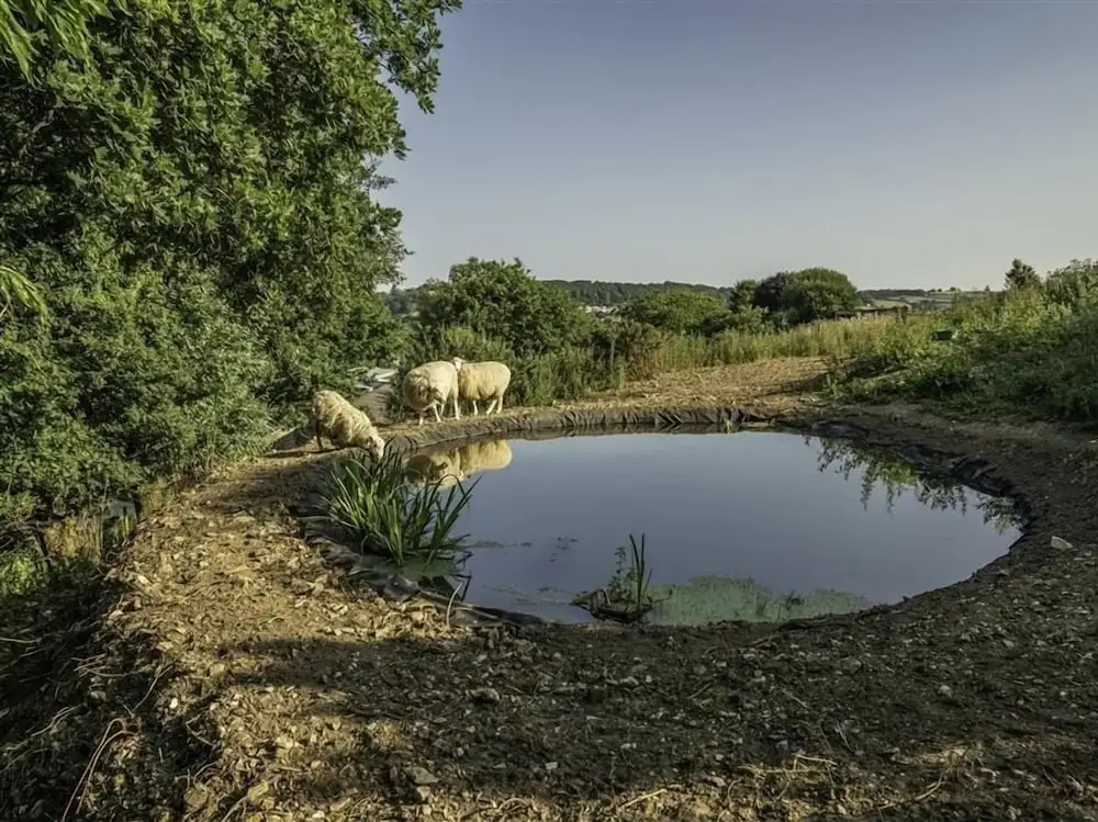 Valley View Farm Annexe