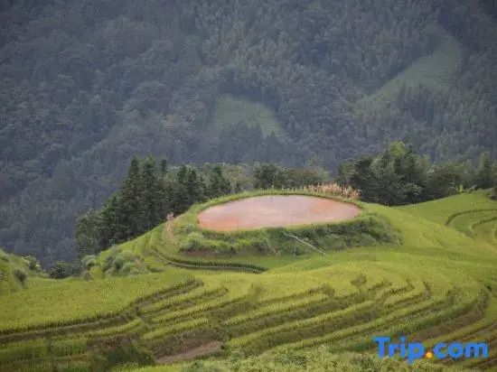 Longsheng Qishanyue Homestay (Qixing Banyue Viewing Platform)