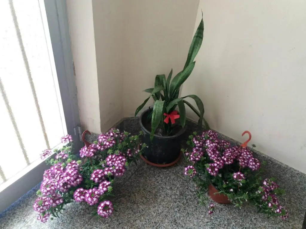 Appartamento vicino al mare