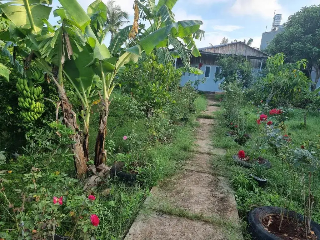 Homestay Sen & Zen Villa Vũng Tàu