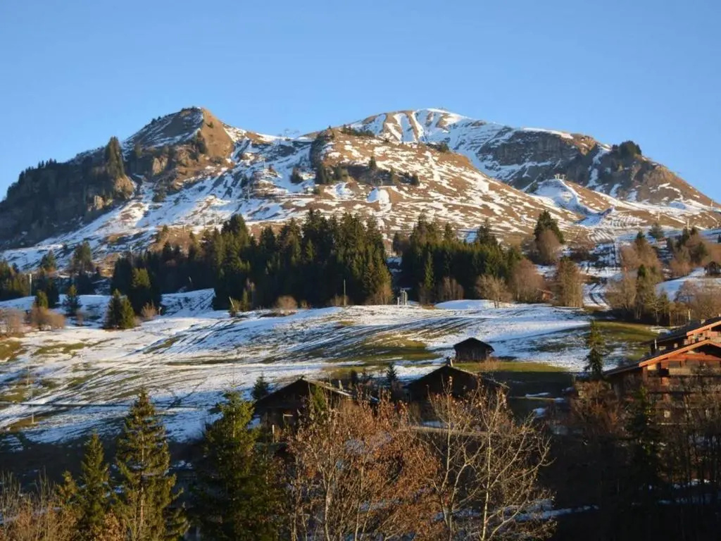 Appartement Le Grand-Bornand, 1 pièce, 4 personnes - FR-1-241-107