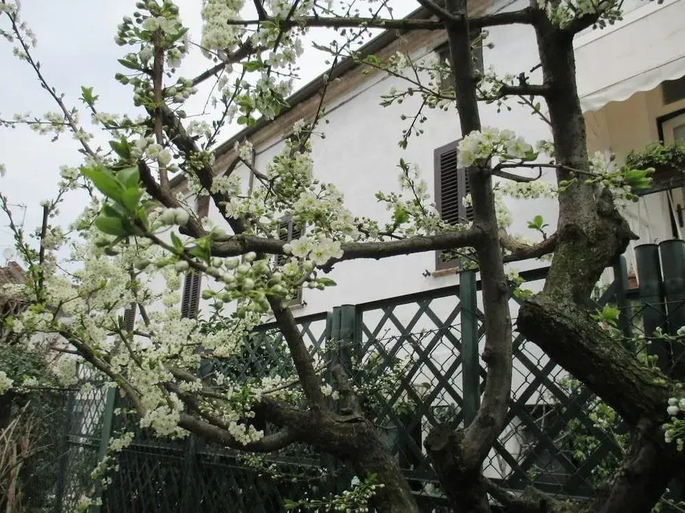 Dimora e Arte - Bed and Breakfast