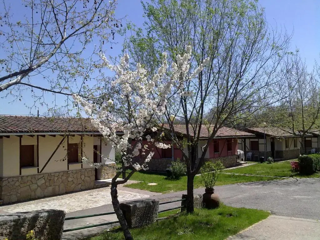 Camping Al-Bereka