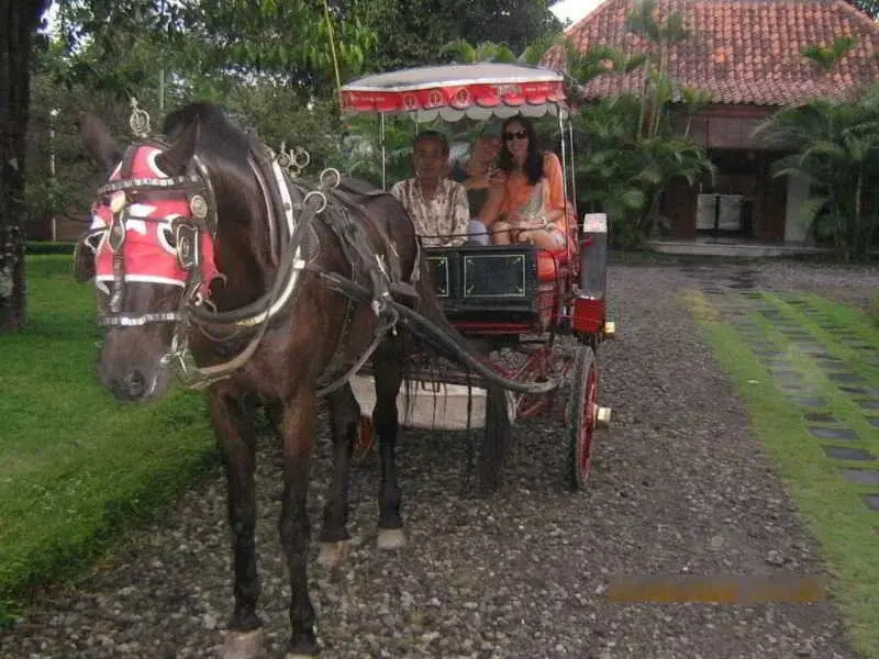 Rumah Sleman