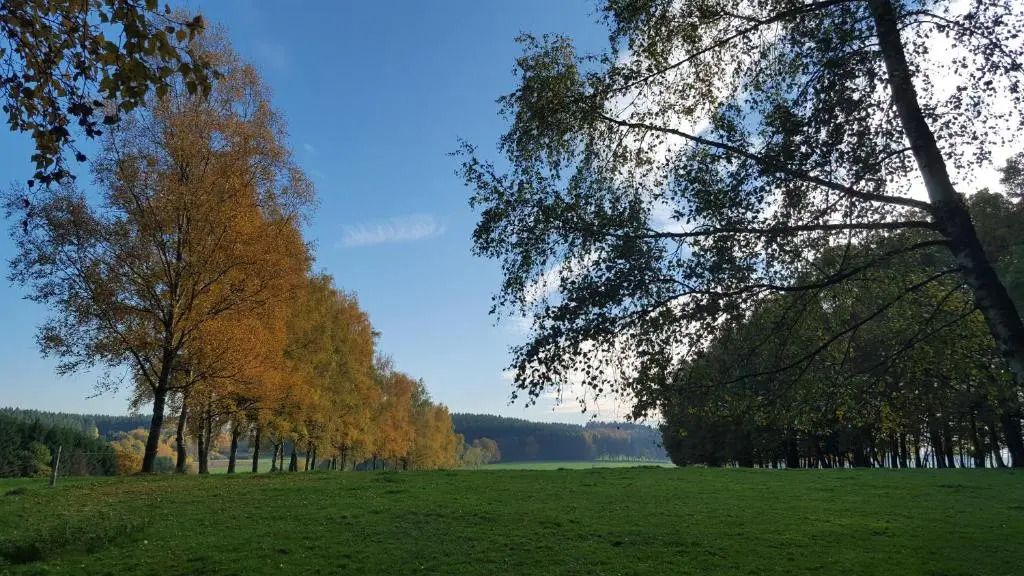 Appartement Am Hohenbusch