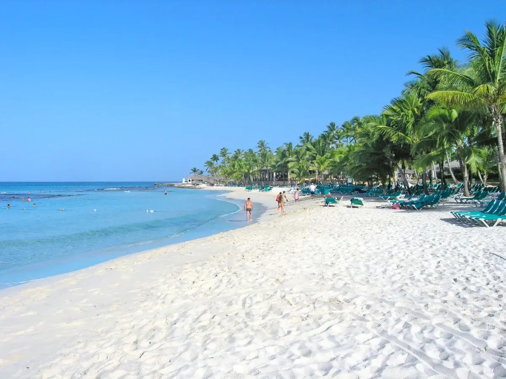 Viva Dominicus Village