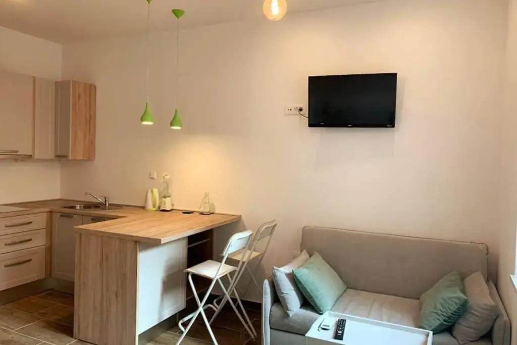 Studio apartment in center of Zagreb "Vidra"