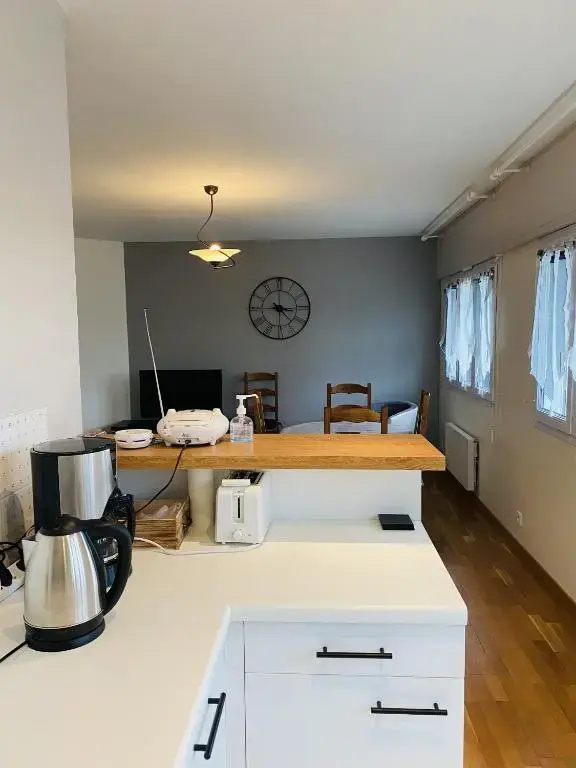 LES DRUIDES, bel appartement avec wifi, plage a 400m