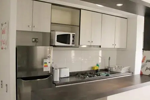 Condominio Surire