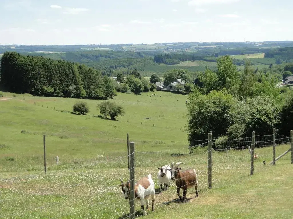 Holiday Home A Pas de Loup