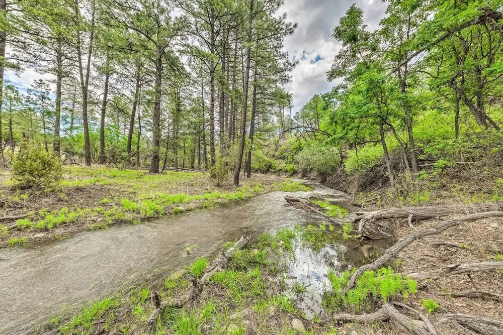 Spacious Ruidoso Retreat on 6 Gated Acres!