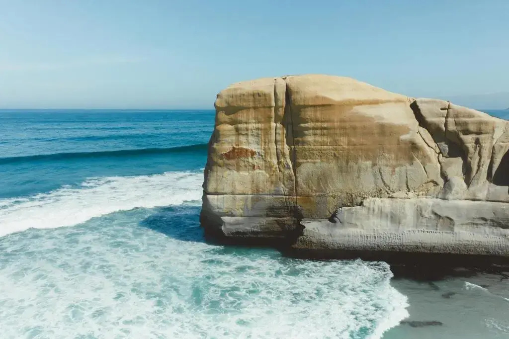 Ebb-Dunedin