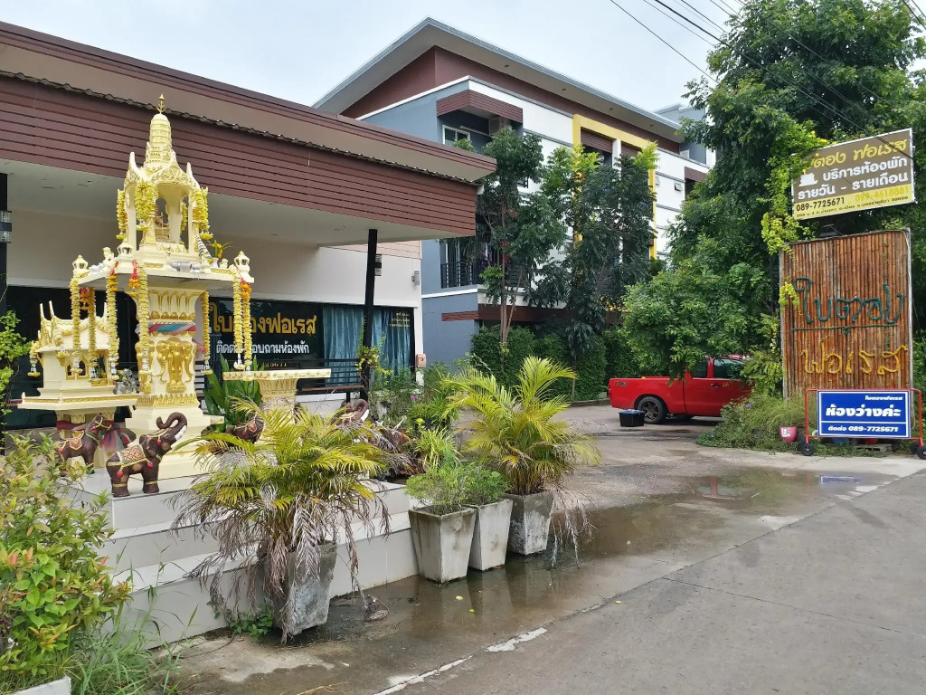 Baitong Forest