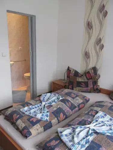 Pension U Vlášků