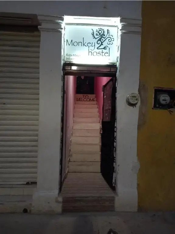 Hostel Monkey