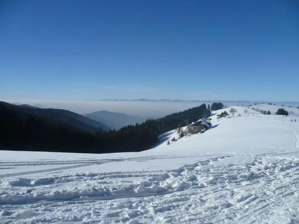 Gite châlet nature haute vosges