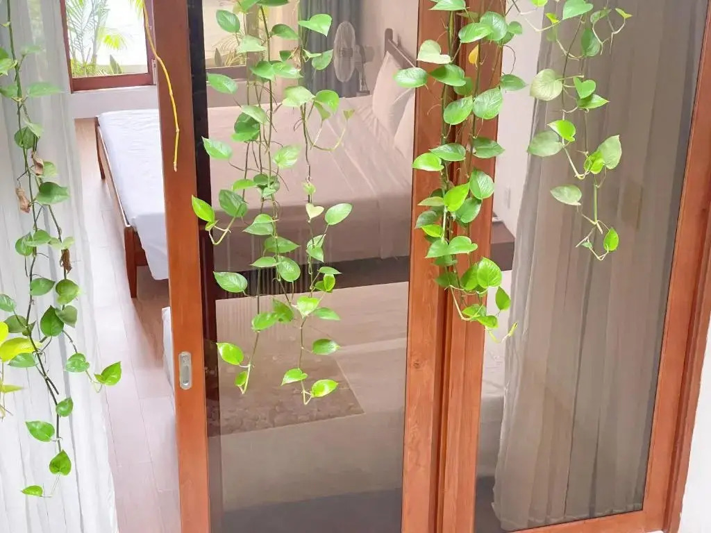 Holi Terrace Villa