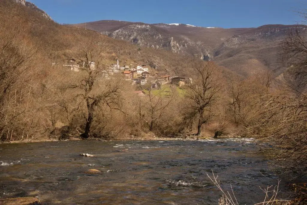 Radika View House