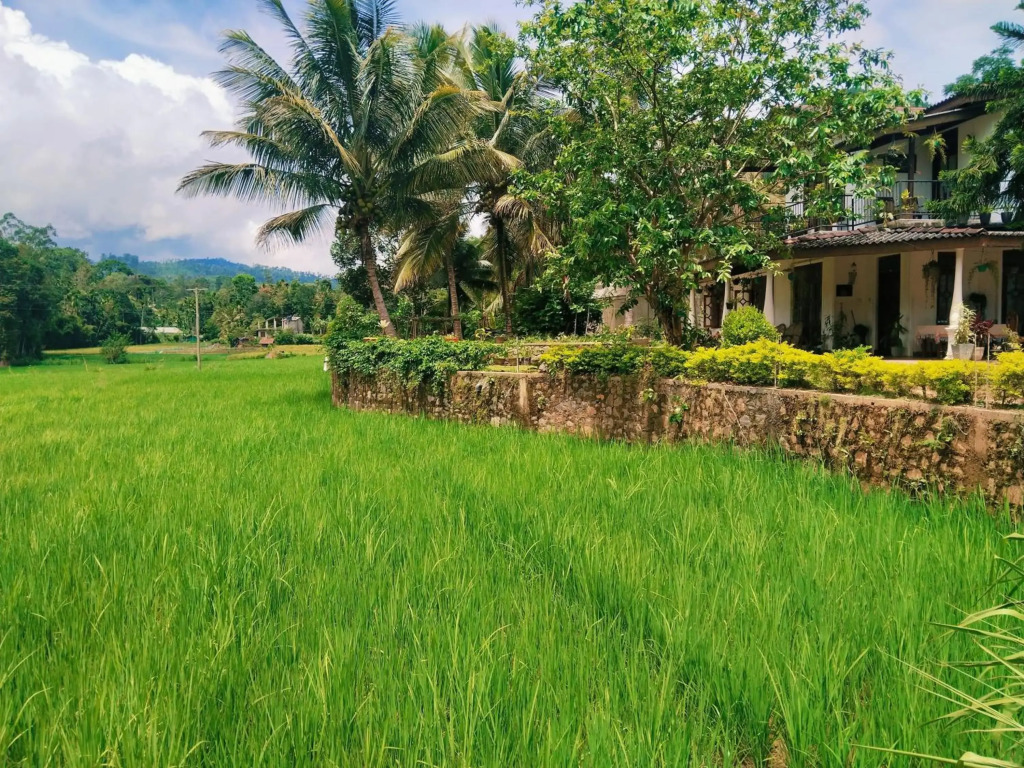 Ella Nature valley homestay