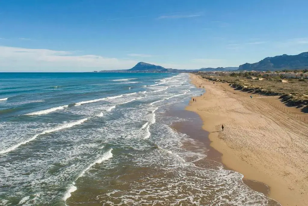 Anacasa Bassetes Playa San Fernando CA550