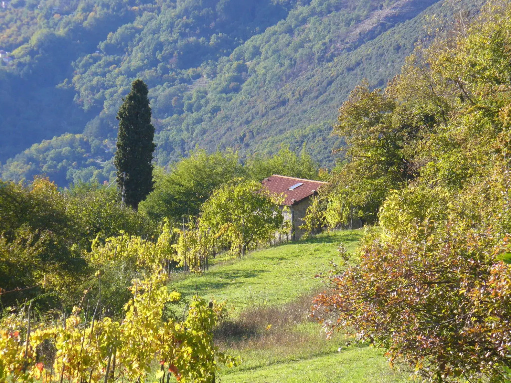 Cottage in Casoli near Ski Slopes