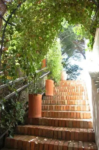Villa Moma