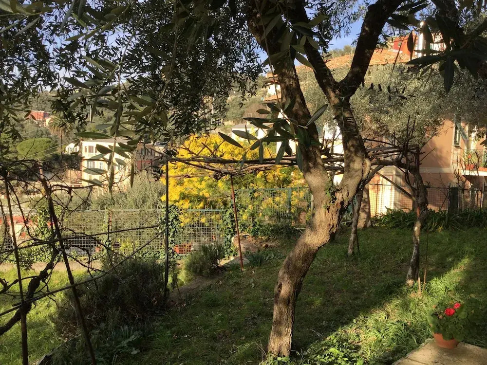 Rifugio Paradiso