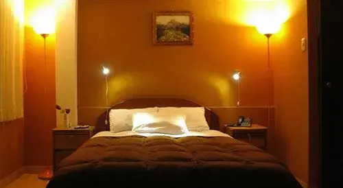 ANDINO HOTEL MACHUPICCHu