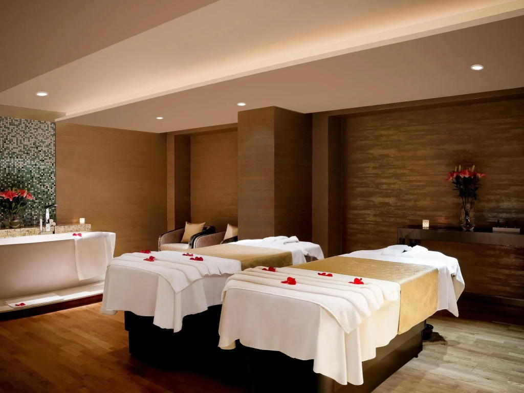 Pullman New Delhi Aerocity