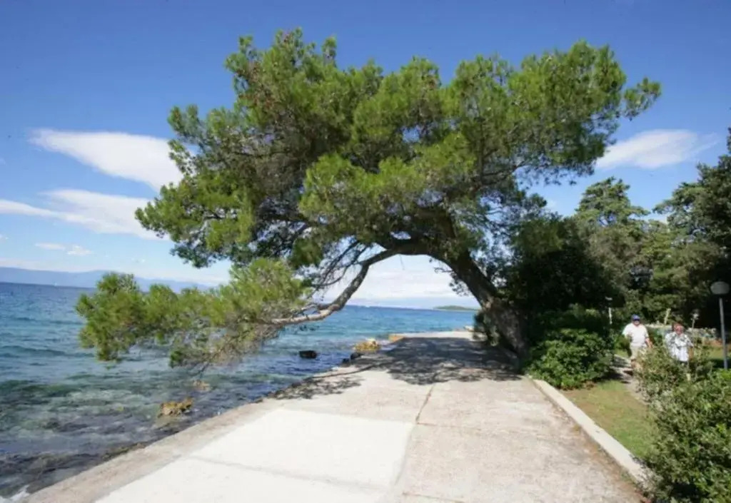 Apartmani Cvelic