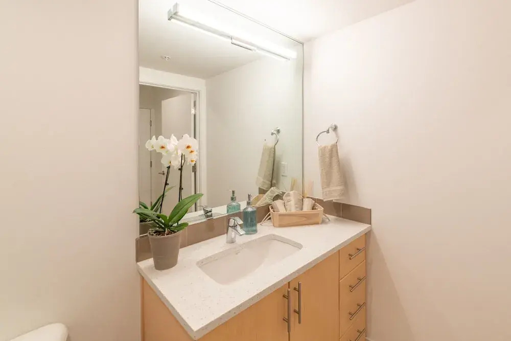 Bright Studio On Capitol Hill-amazing Rooftop Studio Bedroom Condo by Redawning