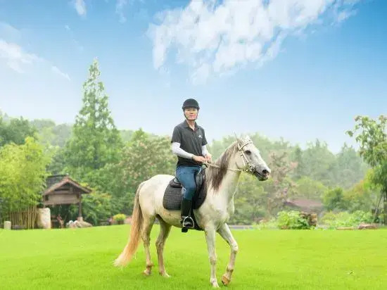 Mogan Mountain · Suzhou Style Garden Hostel