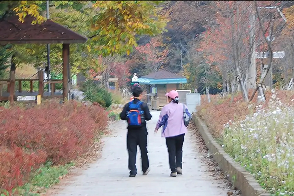 Gapyeong Mignon Forest Pension