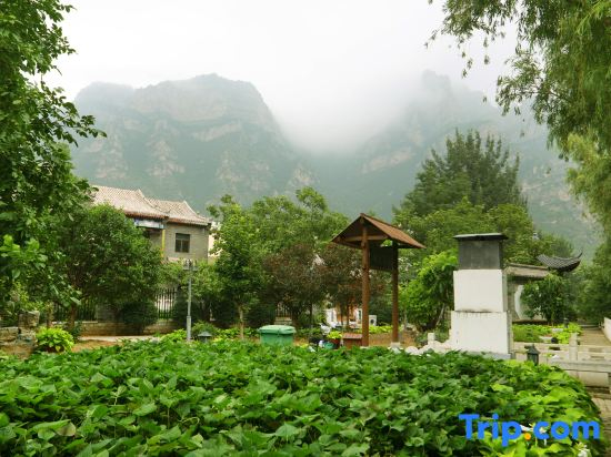 Guishanju Ancient Garden Boutique Courtyard Homestay