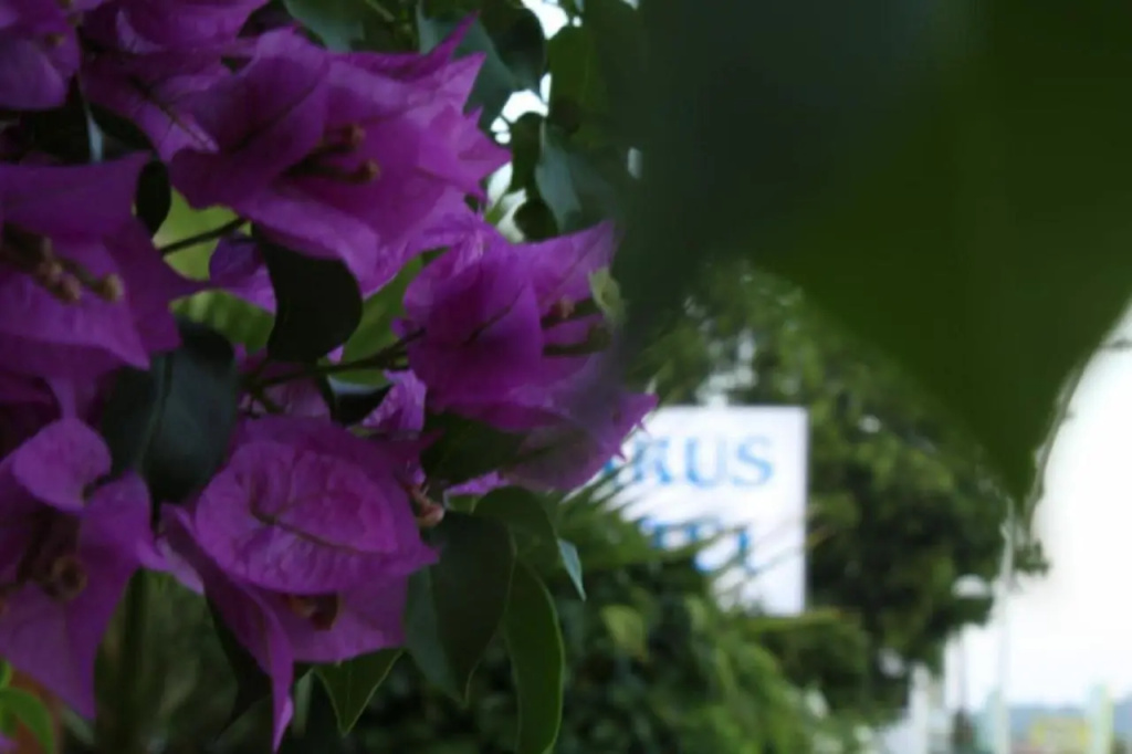 Parus Hotel