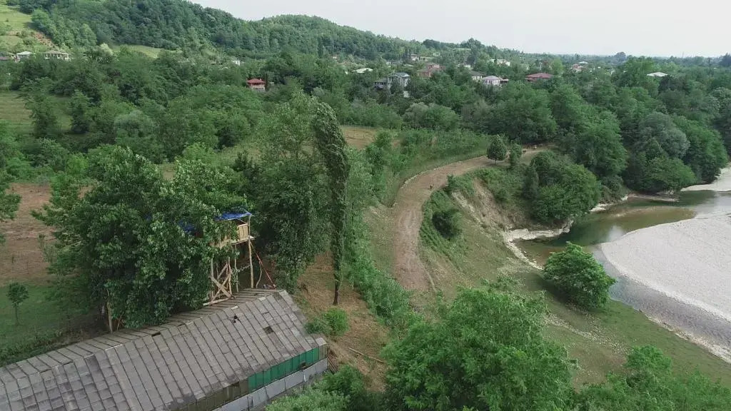 Eagle Nest