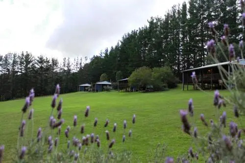 Hawke Brook Chalets