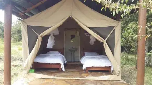 Masaimara Springs Camp